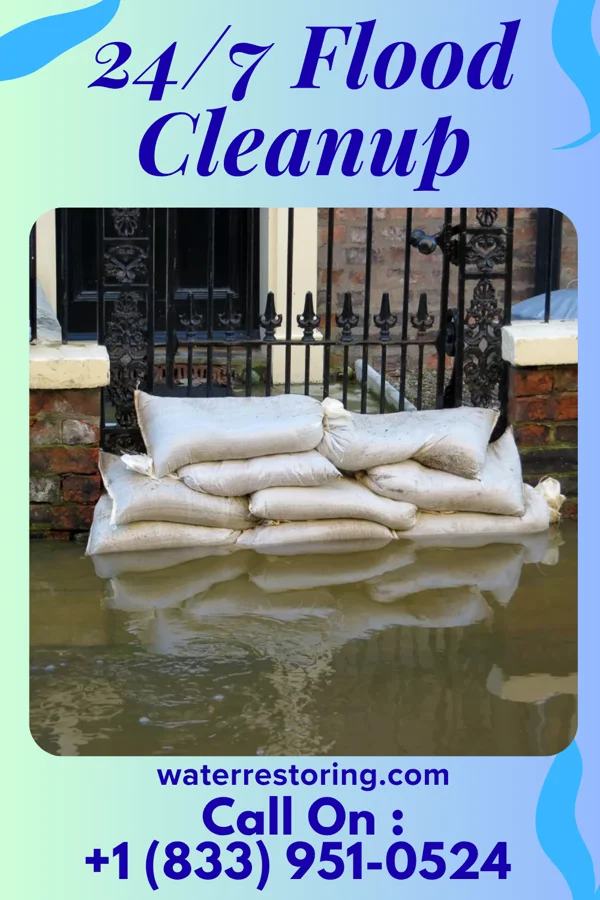 24/7 Flood Cleanup in Walnut Grove, AL