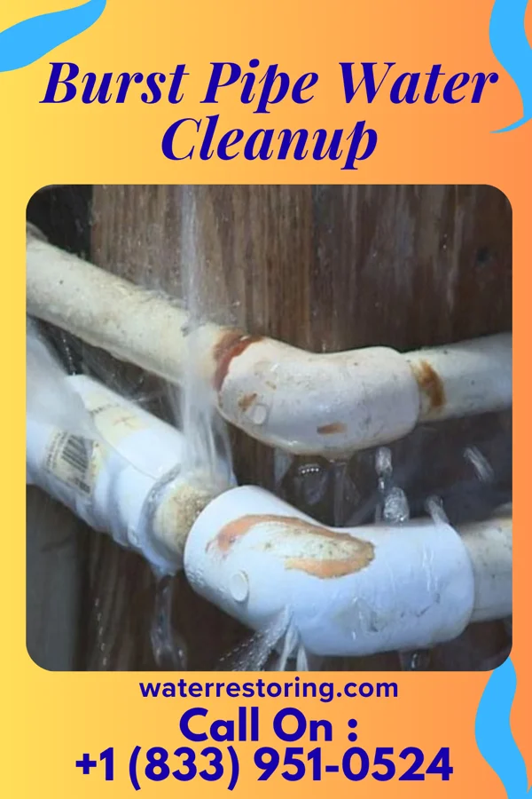 Burst Pipe Water Cleanup in Walnut Grove, AL